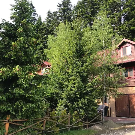 Вілла Лісова Комфорт Skhidnytsia Exterior photo
