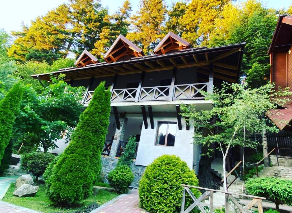 лісова комфорт Apartment