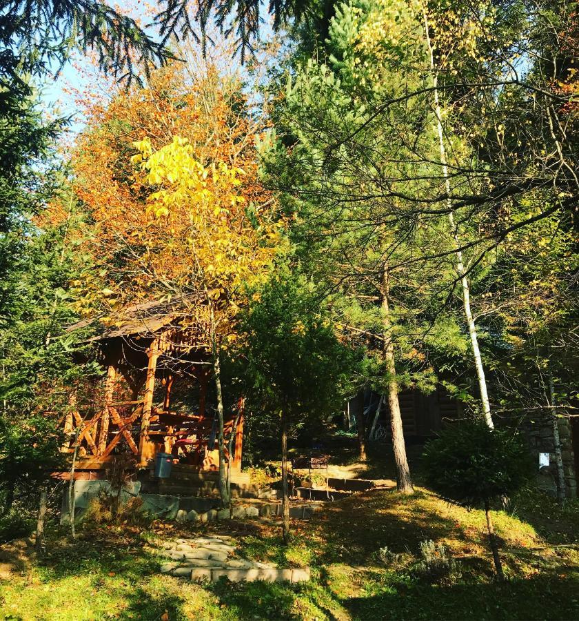 лісова комфорт Apartment *