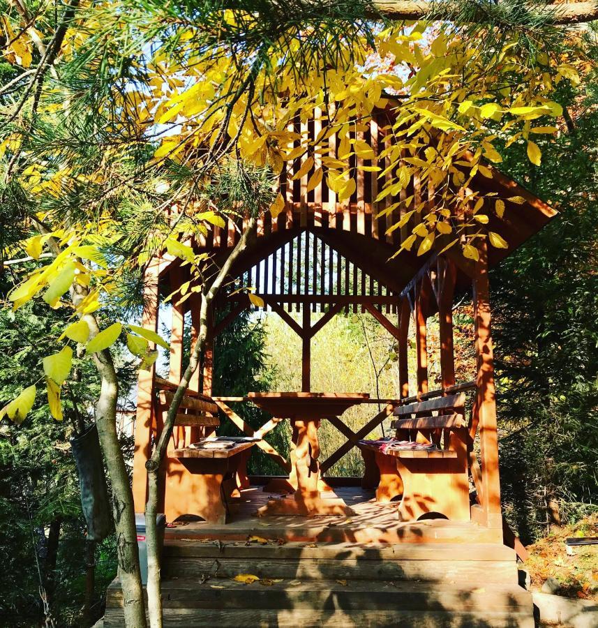 Apartment лісова комфорт Skhidnytsia