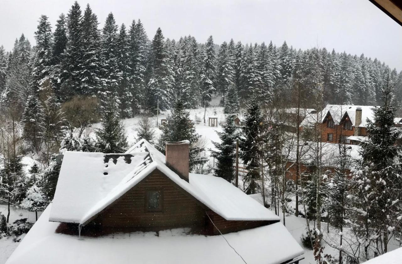 лісова комфорт * Skhidnytsia
