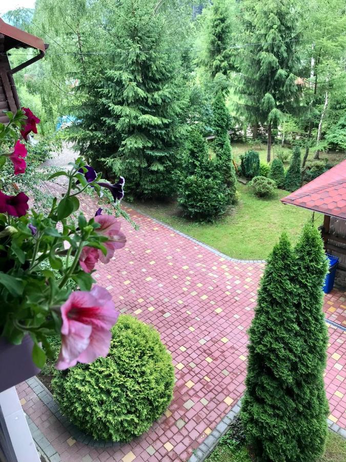 лісова комфорт Skhidnytsia