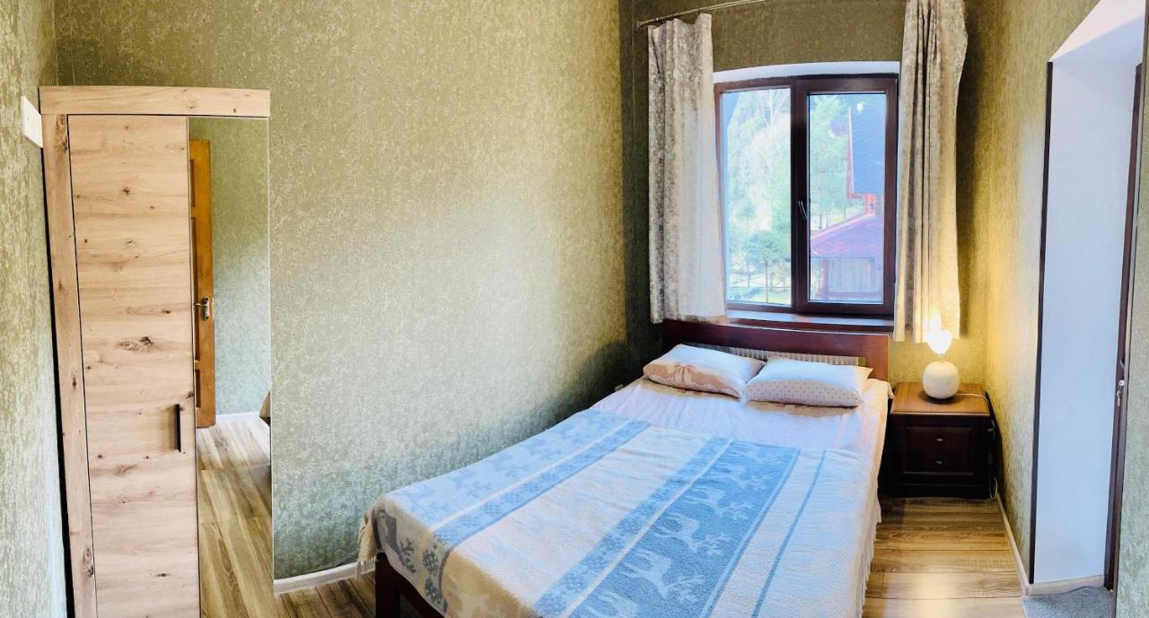 лісова комфорт Skhidnytsia