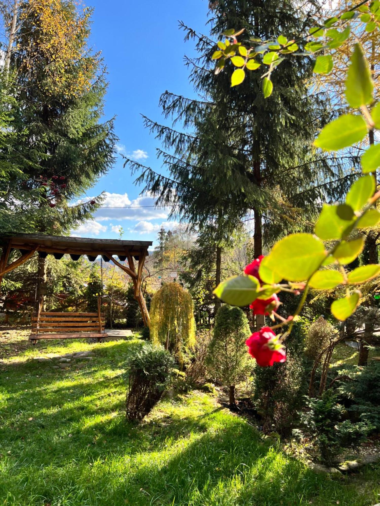 лісова комфорт * Skhidnytsia