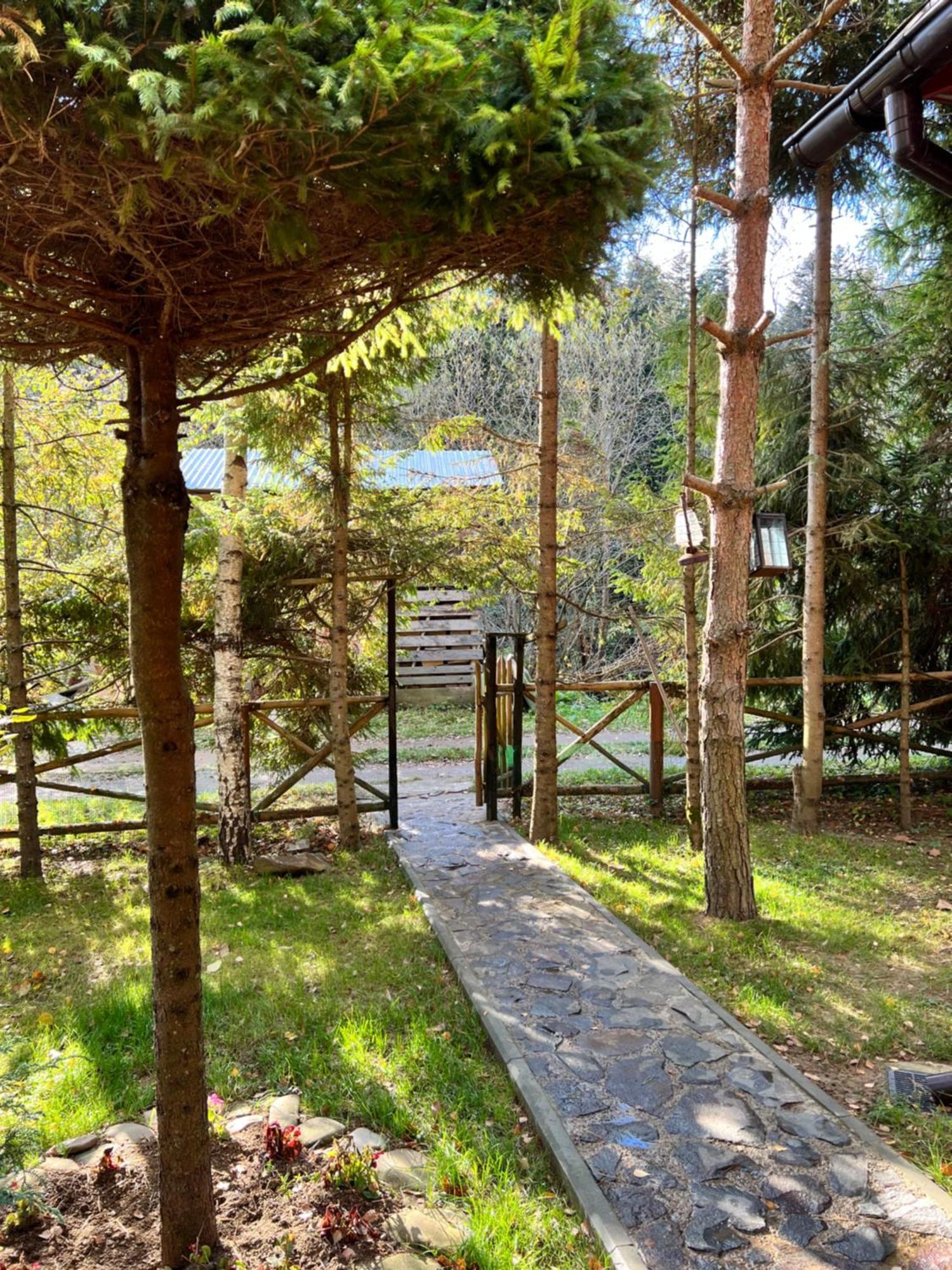лісова комфорт Apartament *