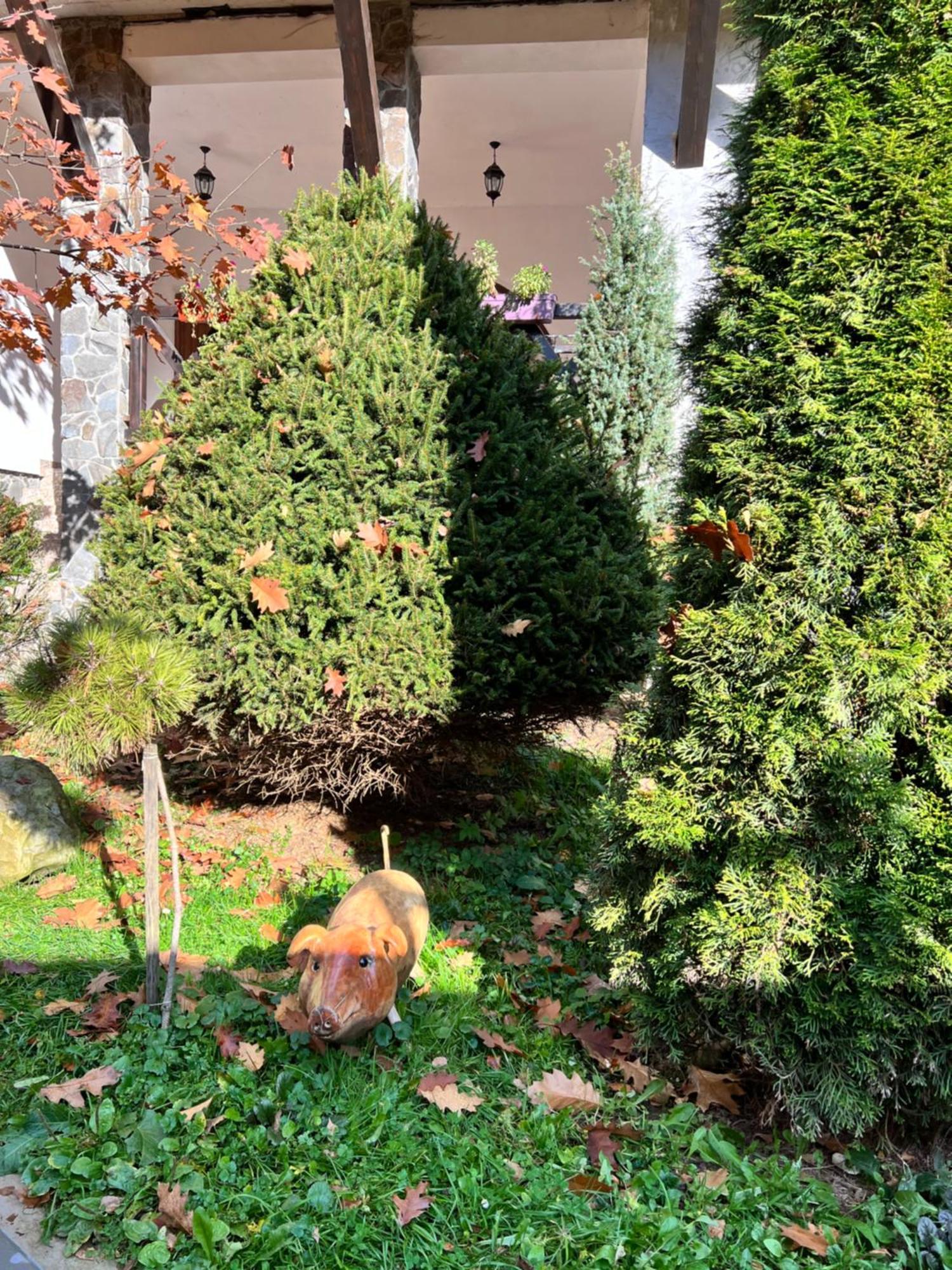 лісова комфорт Apartment Skhidnytsia