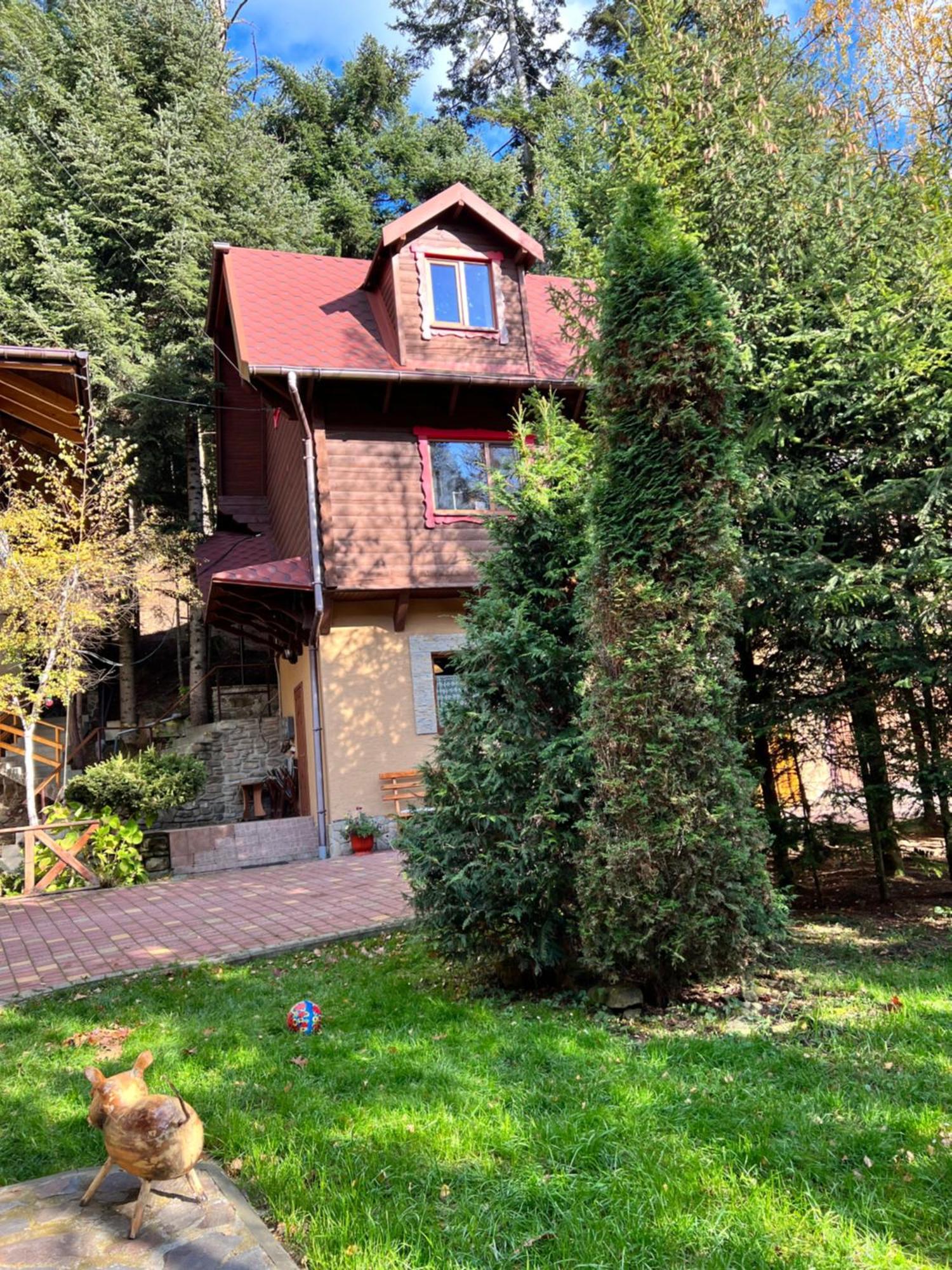 лісова комфорт Apartment Skhidnytsia