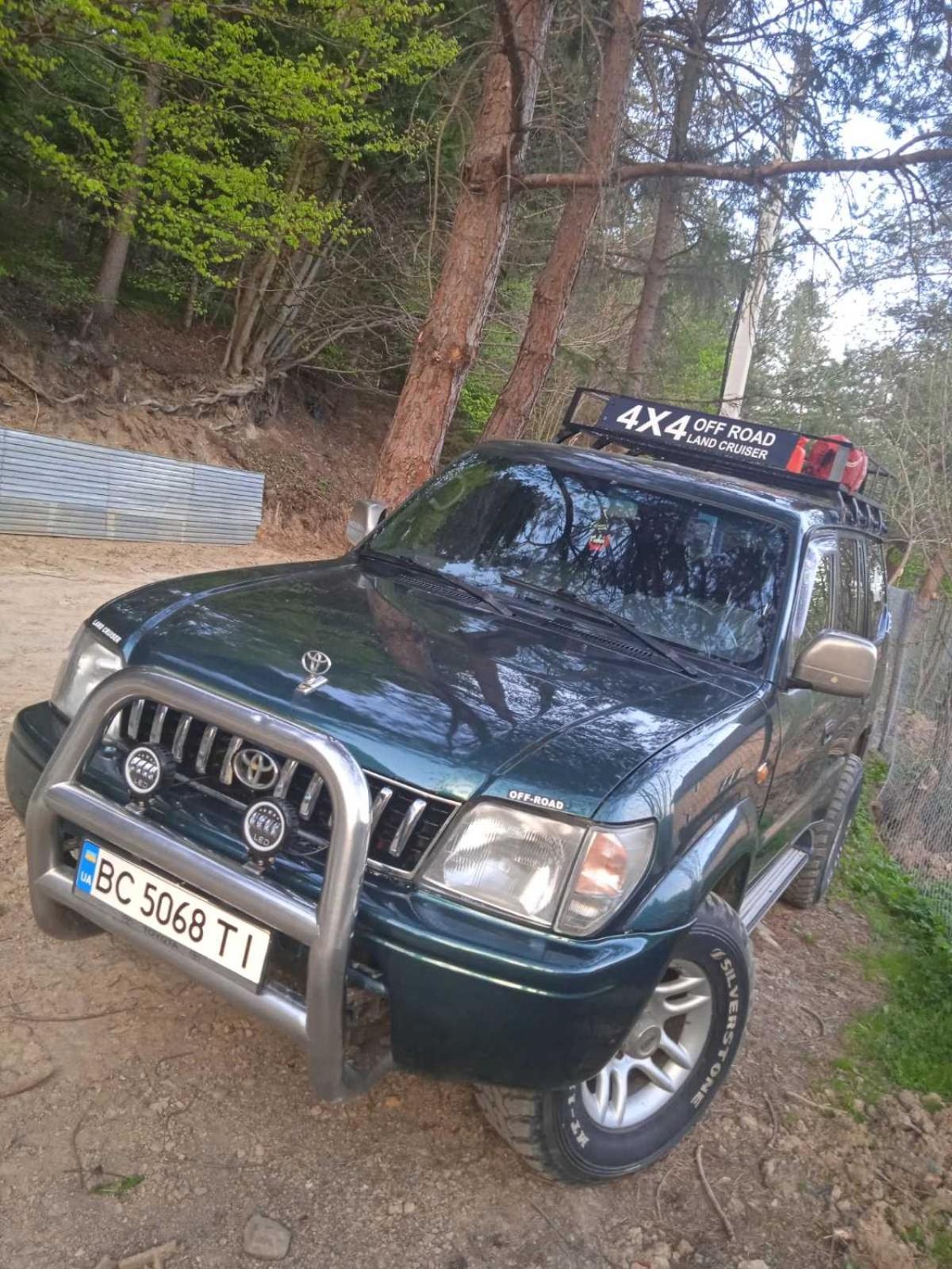 лісова комфорт