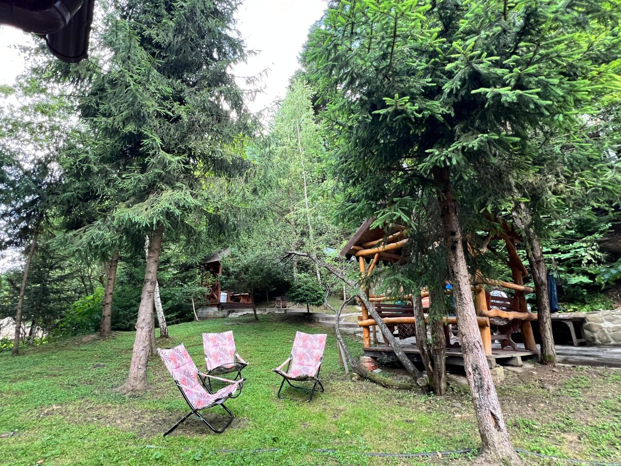 лісова комфорт Apartment *