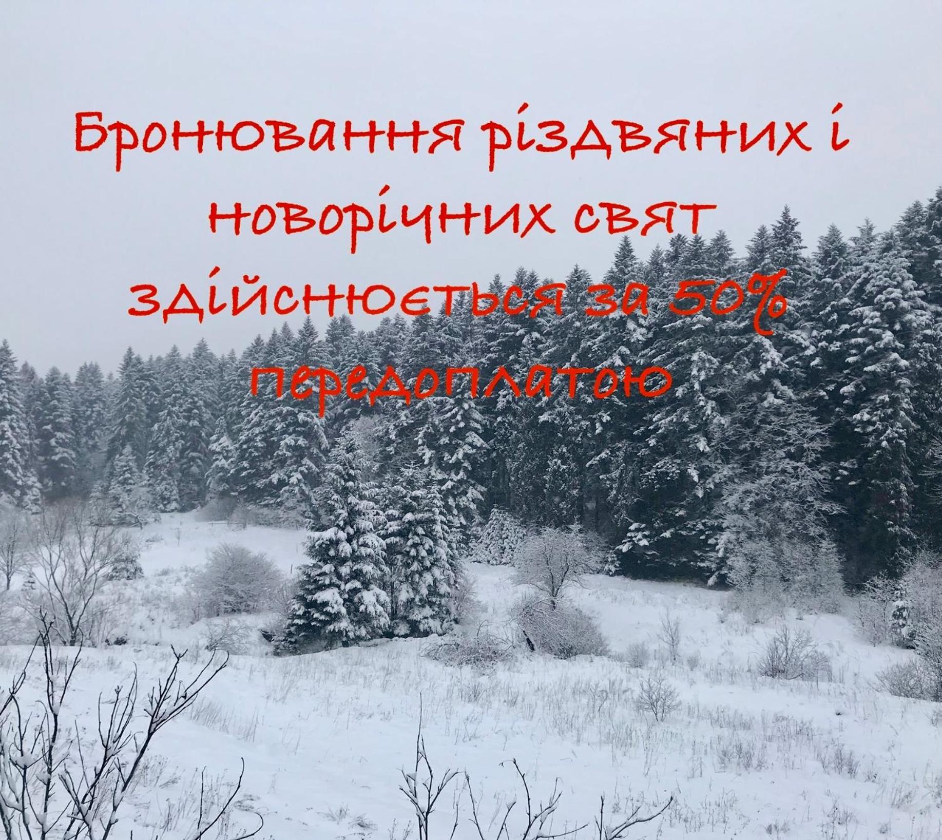 Apartment лісова комфорт