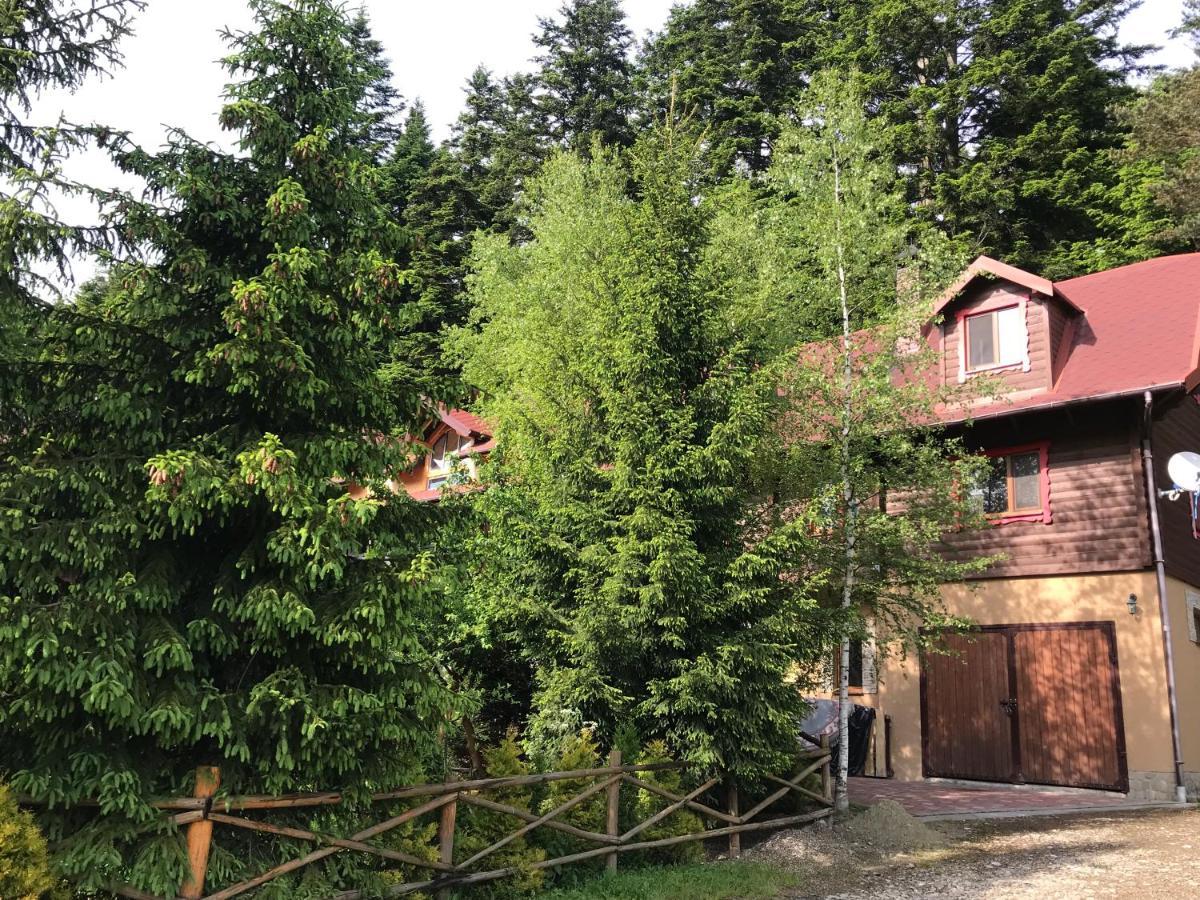 Apartment лісова комфорт